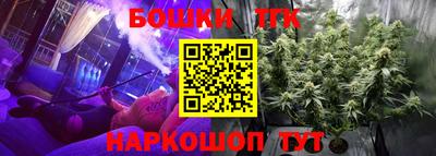 мдпв Партизанск