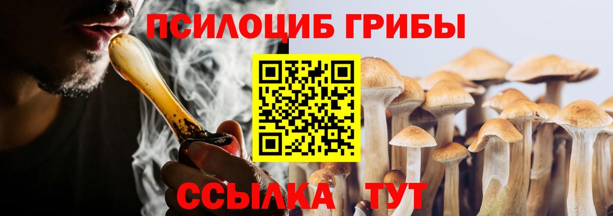 Ялуторовск  Галлюциногенные грибы Magic Shrooms  закладка  Вход с VPN 