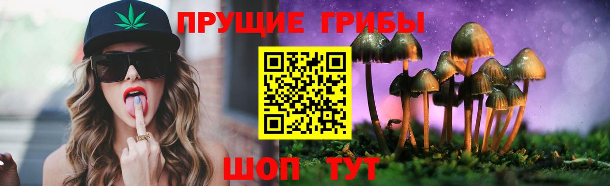 Псилоцибиновые грибы Cubensis Ялуторовск